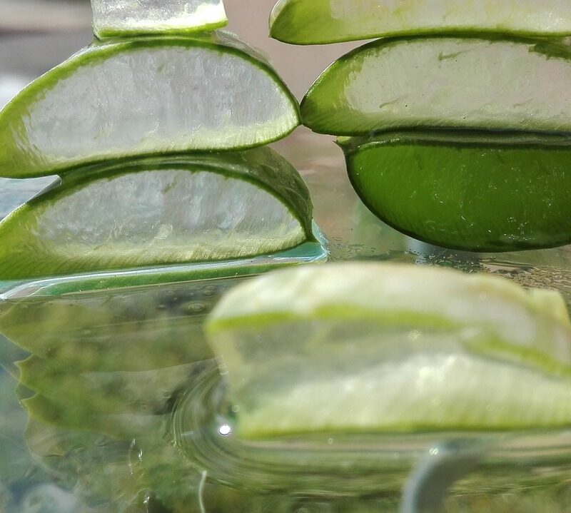 EL ALOE VERA, LA PLANTA MILAGROSA