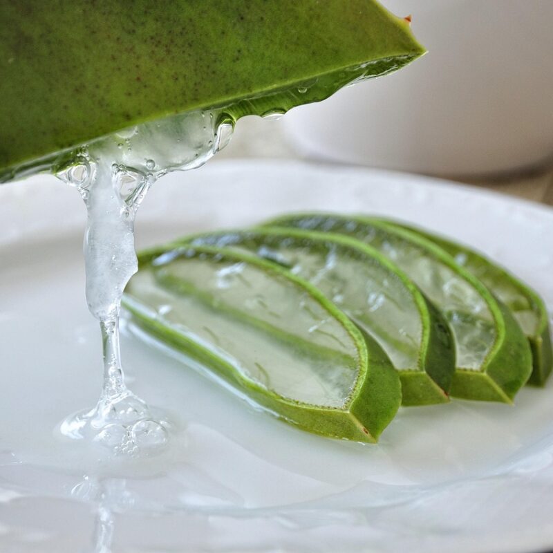 EL ALOE VERA, LA PLANTA MILAGROSA QUE CURA GRANOS Y RENUEVA TU PIEL