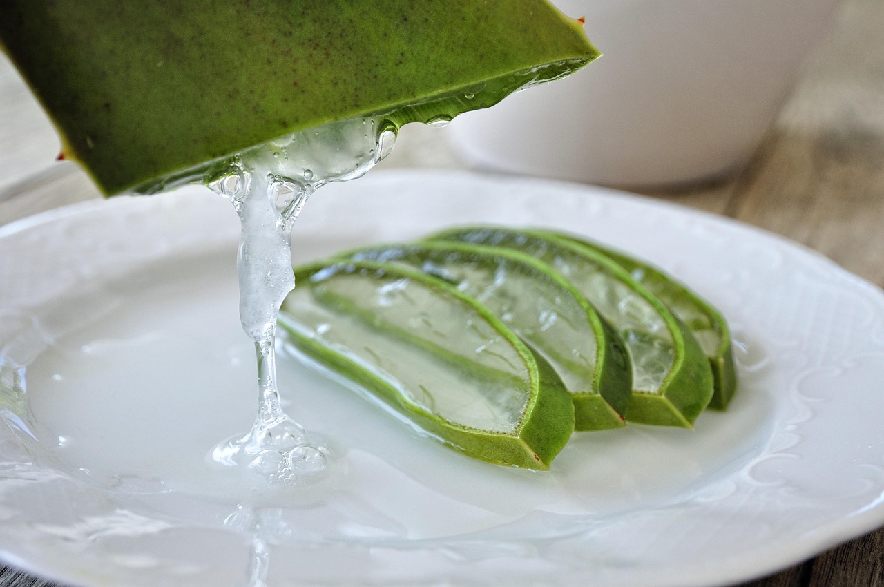 EL ALOE VERA, LA PLANTA MILAGROSA QUE CURA GRANOS Y RENUEVA TU PIEL EL ALOE VERA, LA PLANTA MILAGROSA QUE CURA GRANOS Y RENUEVA TU PIEL