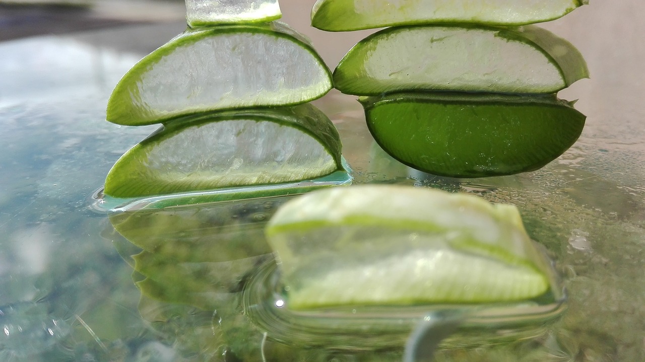 EL ALOE VERA, LA PLANTA MILAGROSA EL ALOE VERA, LA PLANTA MILAGROSA