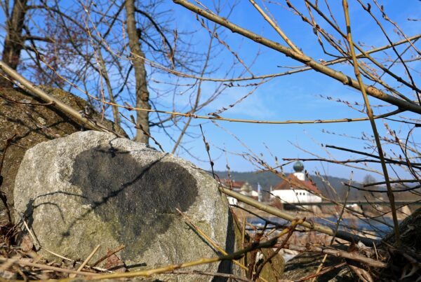 como atraer dinero con la ley de atraccion sin decir soy rico todo el dia 1