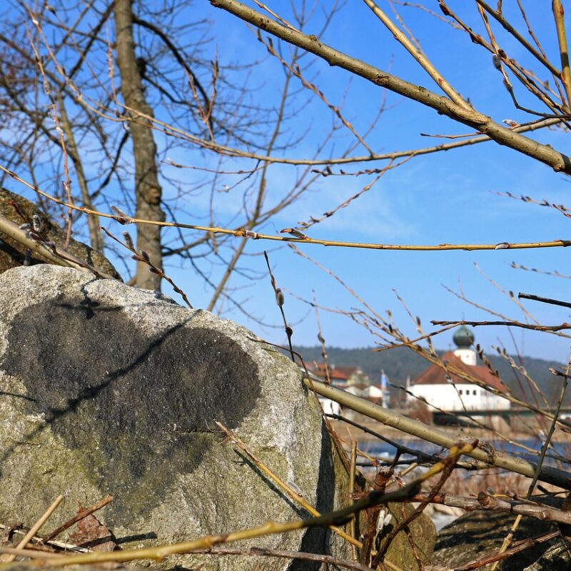 como atraer dinero con la ley de atraccion sin decir soy rico todo el dia 1