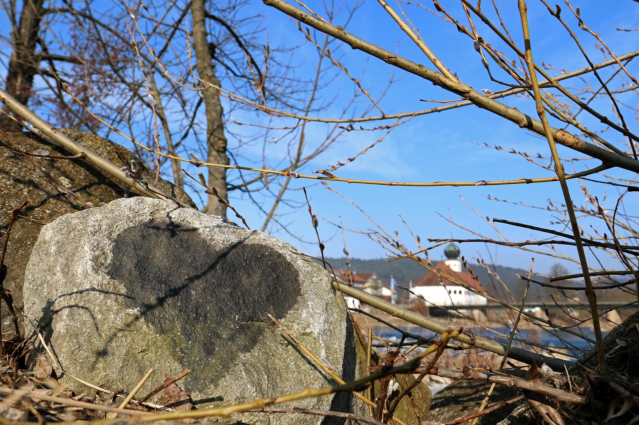 como atraer dinero con la ley de atraccion sin decir soy rico todo el dia 1