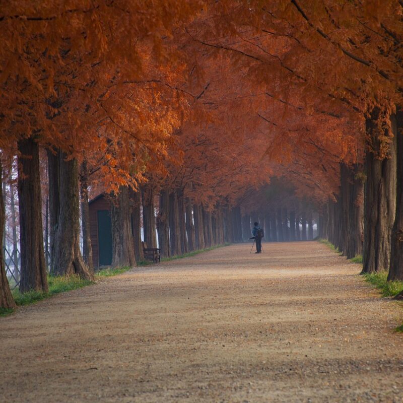 como dejar de procrastinar hoy la tecnica que funciona en menos de 5 minutos 1
