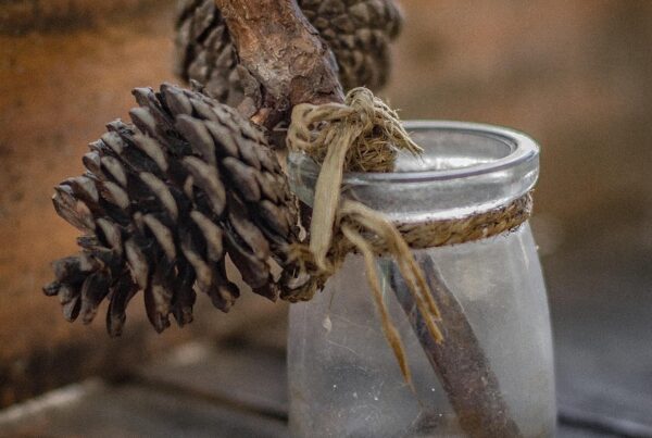 meditacion con la glandula pineal activa tu tercer ojo y despierta tu conciencia 1 1