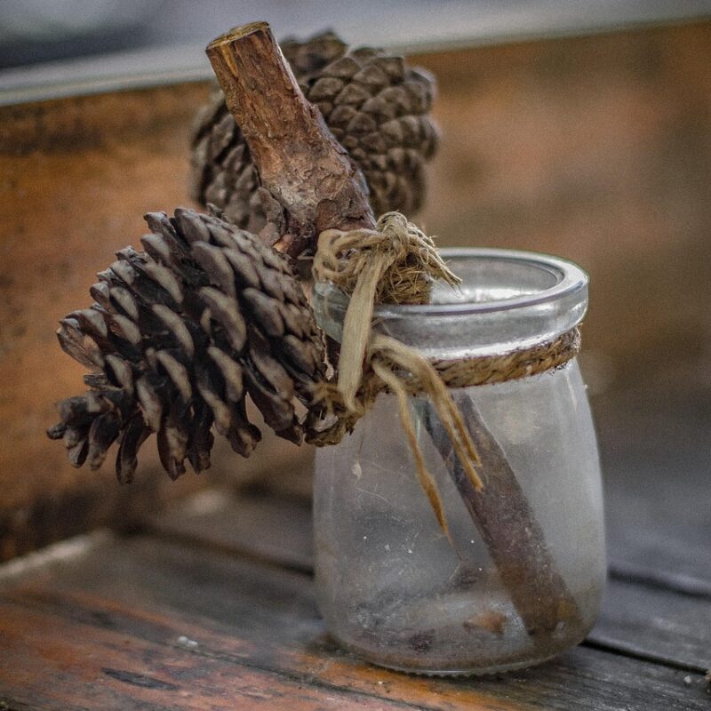 meditacion con la glandula pineal activa tu tercer ojo y despierta tu conciencia 1 1