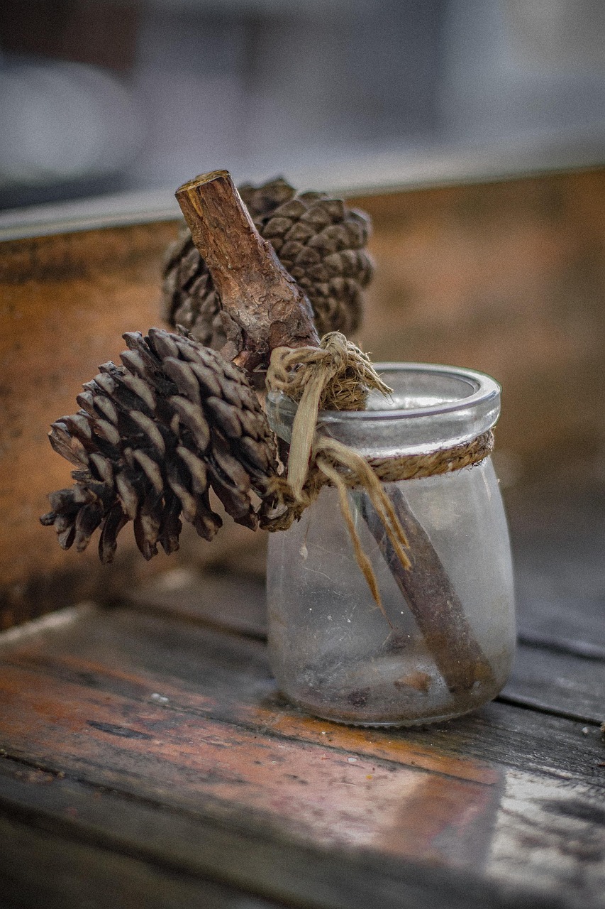 meditacion con la glandula pineal activa tu tercer ojo y despierta tu conciencia 1 1