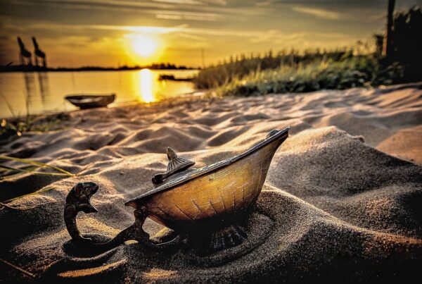 musica para dormir y sanar el alma playlist nocturna con frecuencias sagradas 1