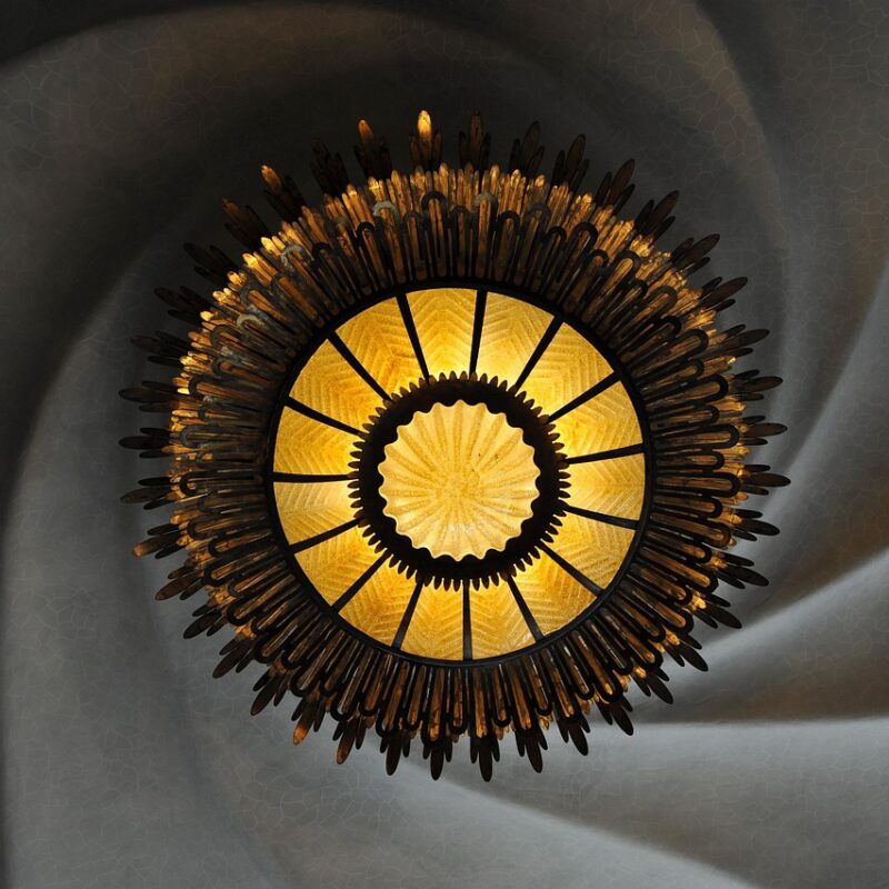 ruda para limpiar la casa como usarla sin quemarla metodo seguro 1