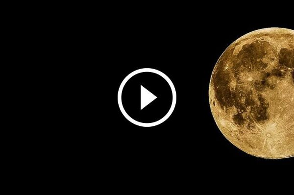 tumaletin 18b333812968