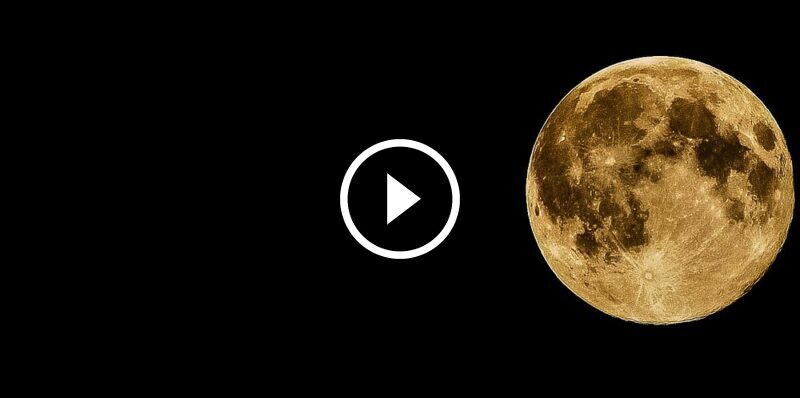 tumaletin 18b333812968