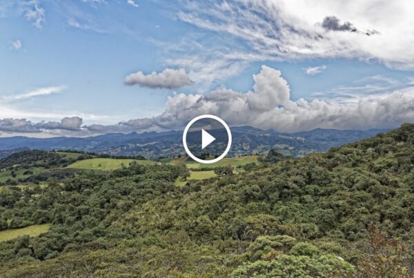 tumaletin 4ff80385f6d9