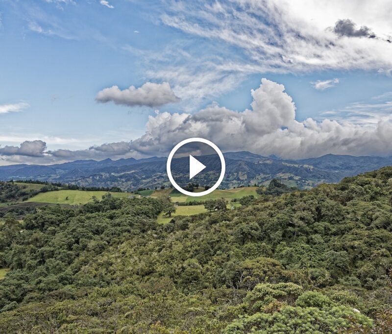 tumaletin 4ff80385f6d9