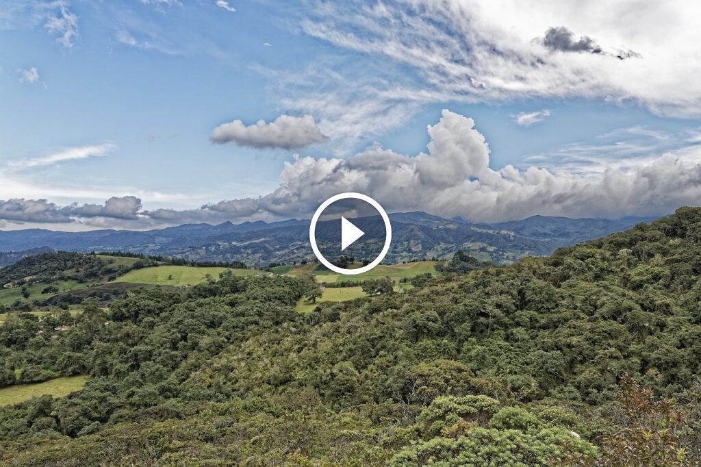 tumaletin 4ff80385f6d9