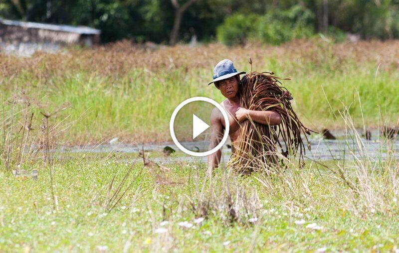 tumaletin 9baf3c15a02b