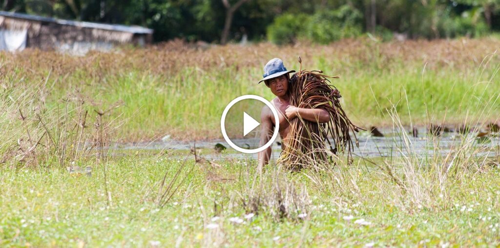 tumaletin 9baf3c15a02b