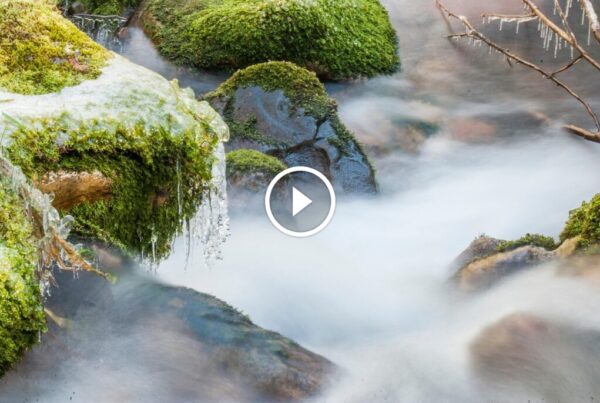 tumaletin c903929eadf7