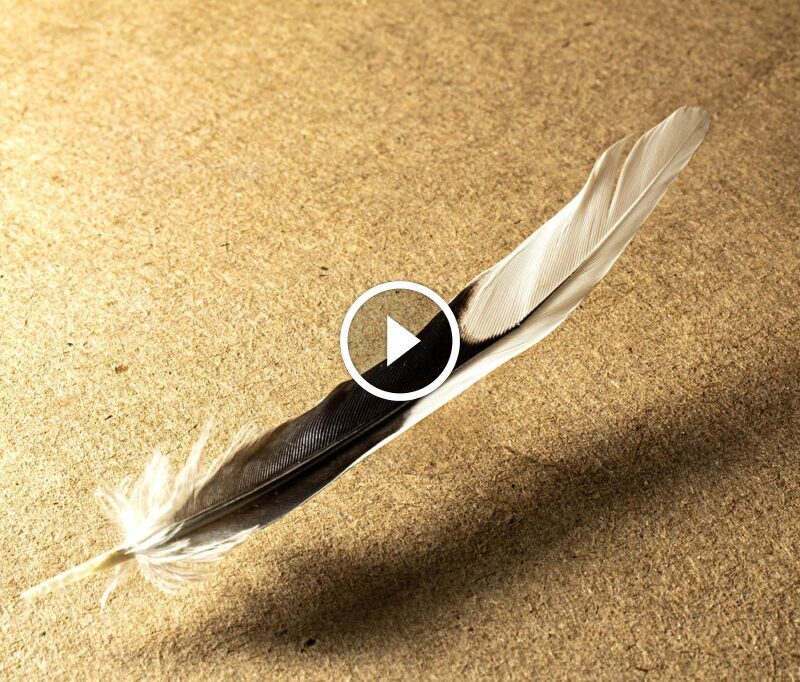 tumaletin dedc4415684e