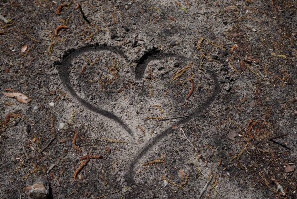 1111 codigo para abrirse a nuevas oportunidades guia agesta 1