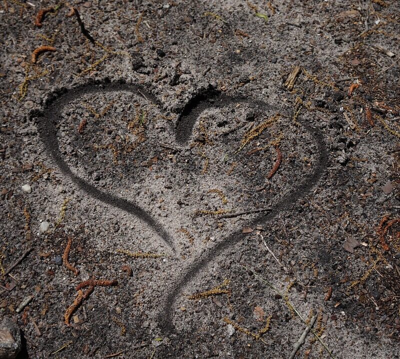 1111 codigo para abrirse a nuevas oportunidades guia agesta 1