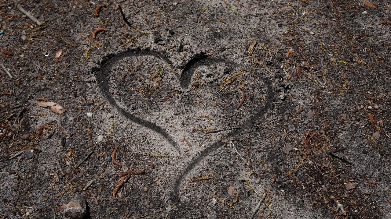 1111 codigo para abrirse a nuevas oportunidades guia agesta 1