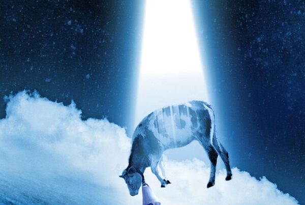 3i atlas la nave interestelar que podria ser la primera sonda alienigena 1