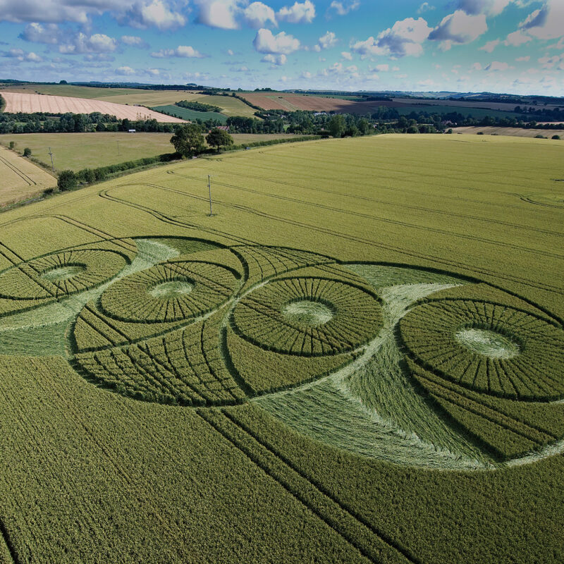 Crop Circles