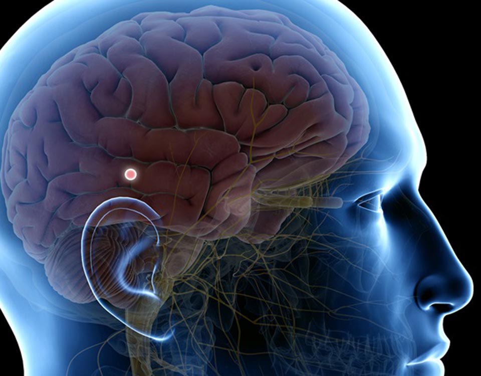 El código 42011 para activar la glándula pineal: visión espiritual y claridad 1 La calcificacion de la GLANDULA PINEAL
