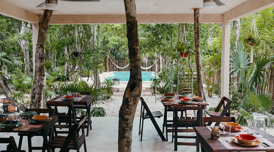 Lunita Jungle Retreat Center Riviera Maya Un retiro en la selva maya cerca de Cancun