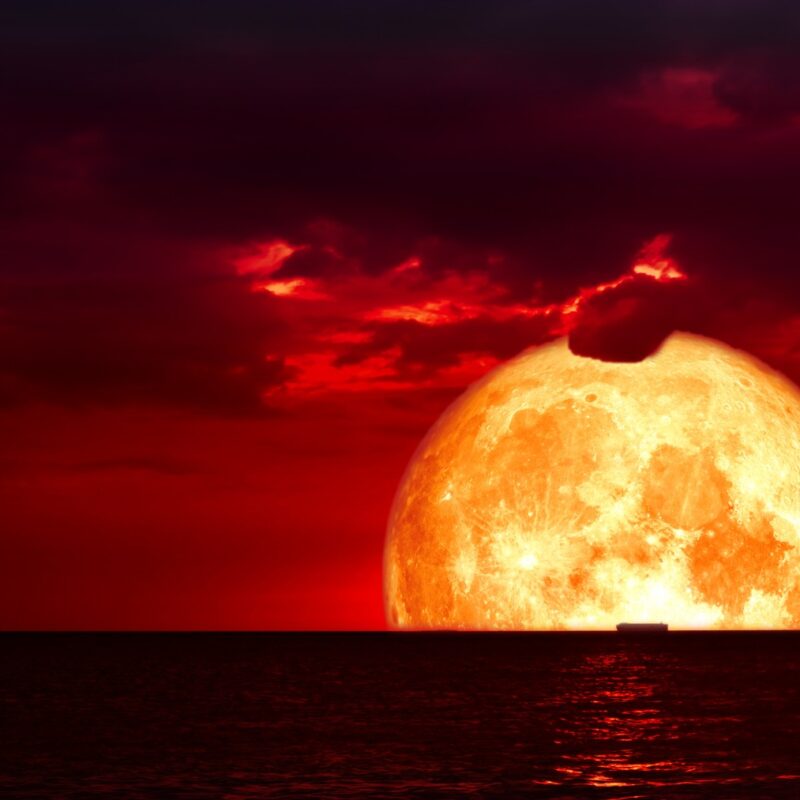 Meditacion de la LUNA ROJA