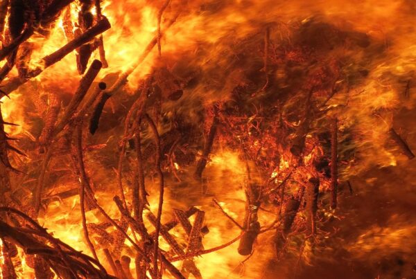 atencion la profecia de parravicini que anuncian sus dibujos para el 2025 1