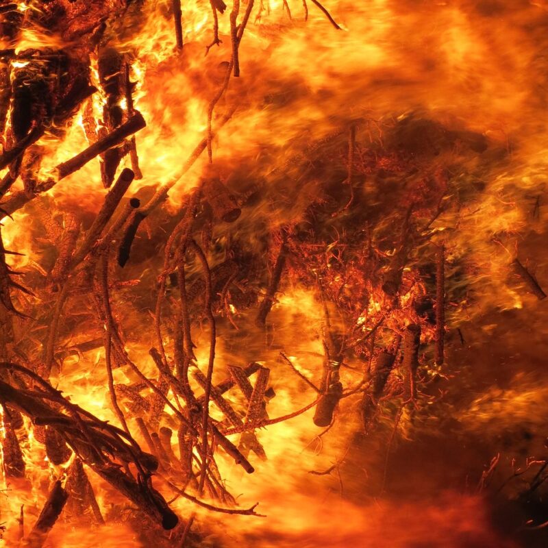 atencion la profecia de parravicini que anuncian sus dibujos para el 2025 1