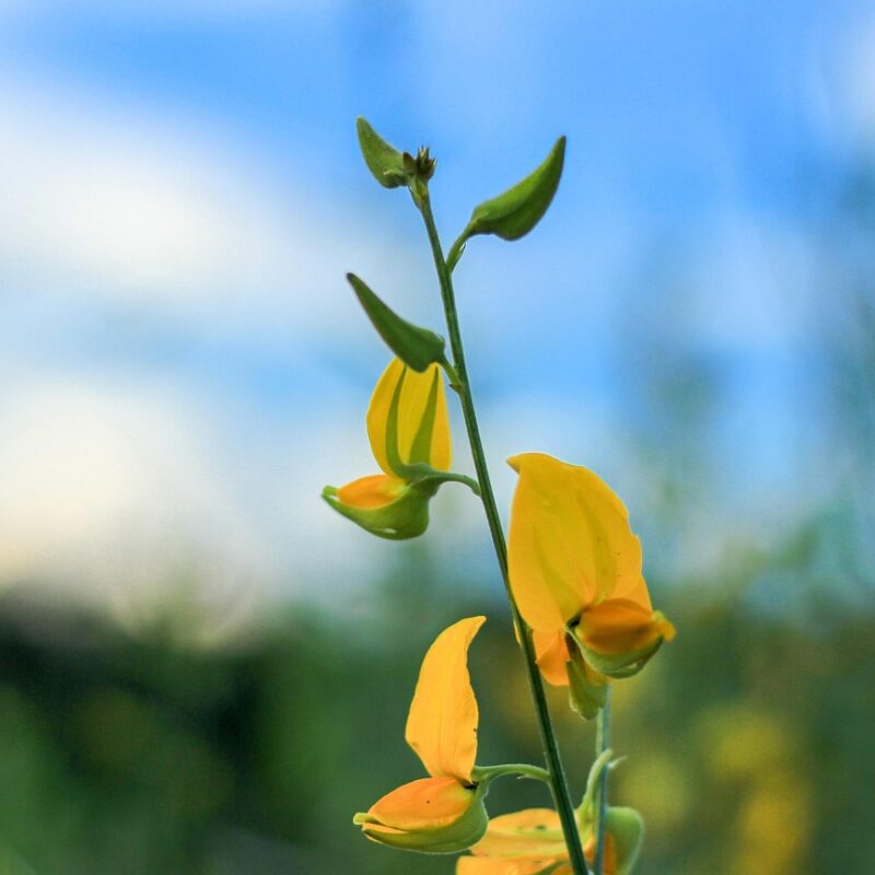 como elevar la vibracion en 5 minutos 1