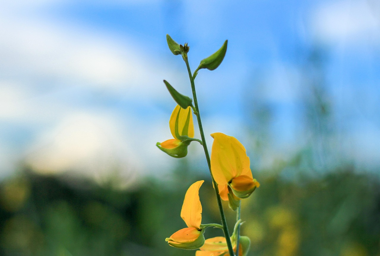 como elevar la vibracion en 5 minutos 1