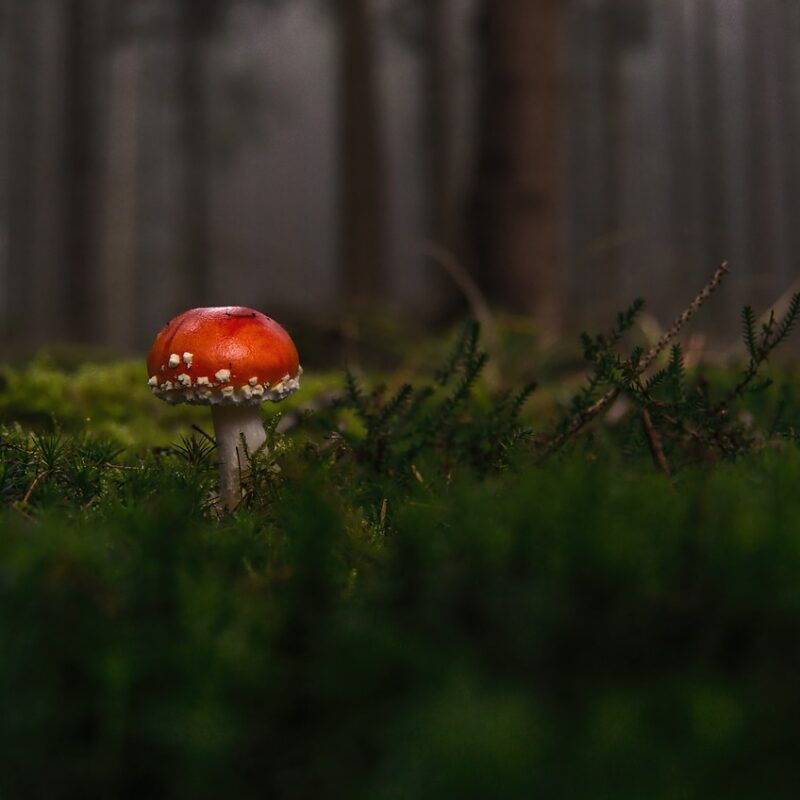 como identificar y romper un vinculo energetico toxico con alguien 1