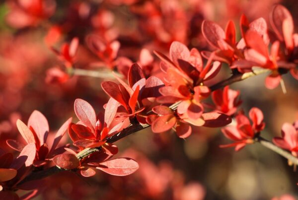 espiritualidad y crecimiento personal el viaje de volver a vos 1