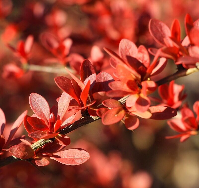 espiritualidad y crecimiento personal el viaje de volver a vos 1