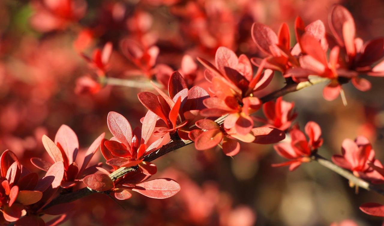 espiritualidad y crecimiento personal el viaje de volver a vos 1