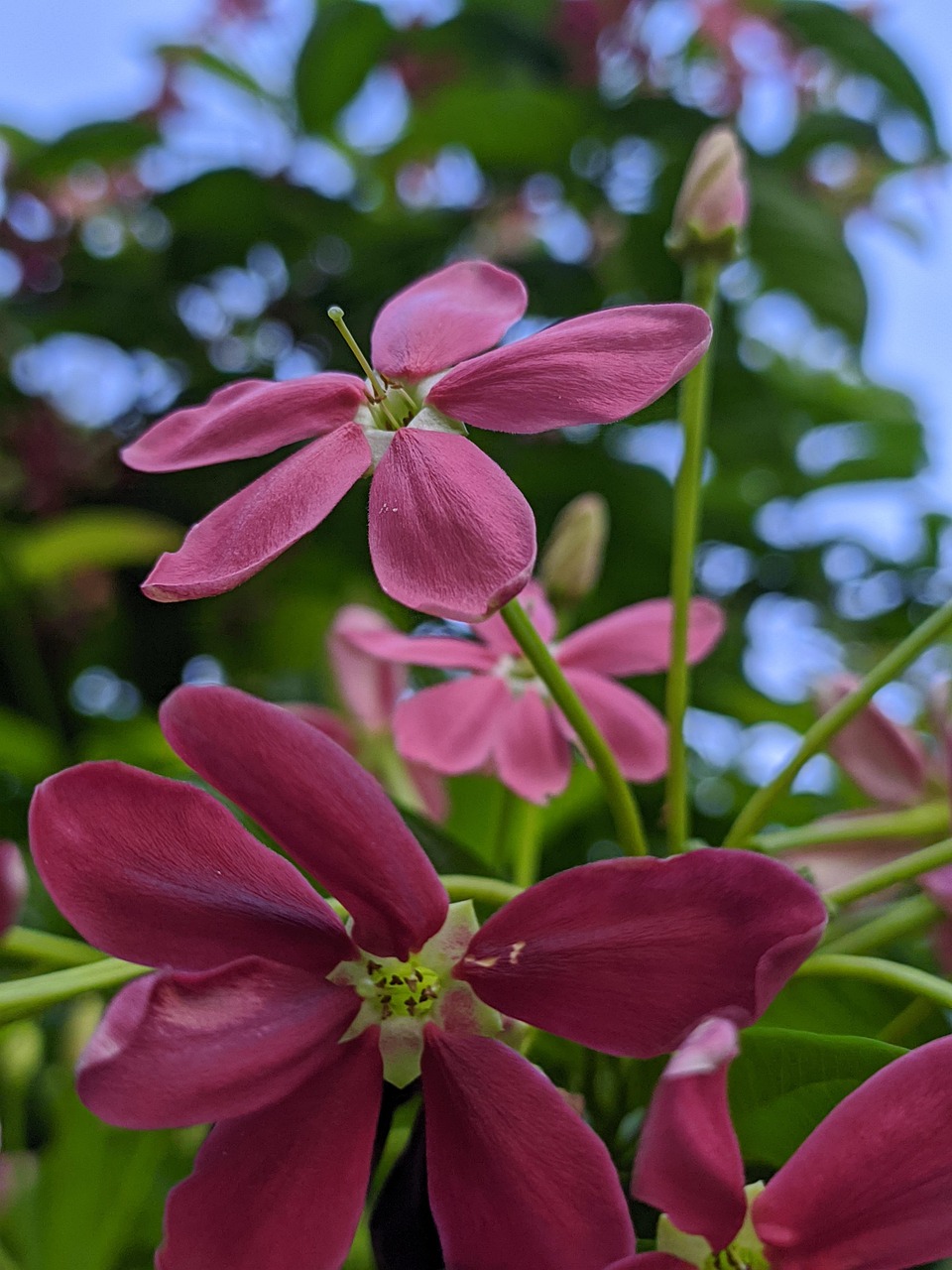 lo mas buscado sanacion con codigos sagrados los numeros que reescriben tu realidad 1