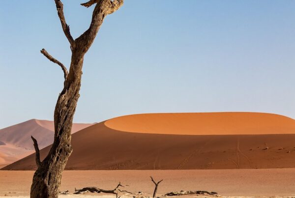 luces en formacion sobre el desierto de atacama y el gobierno chileno guarda silencio 1