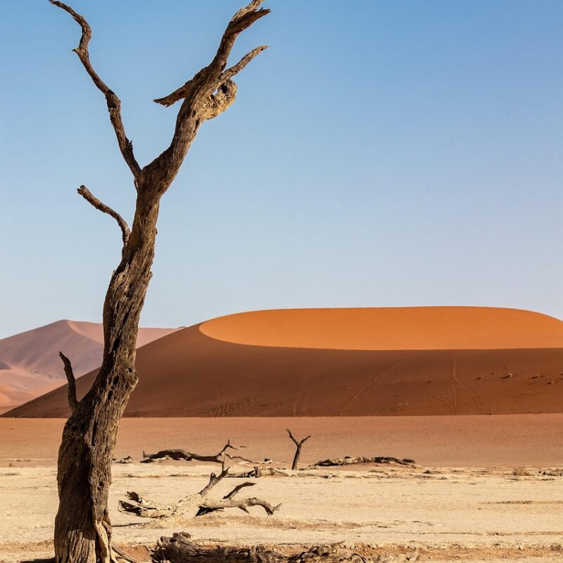 luces en formacion sobre el desierto de atacama y el gobierno chileno guarda silencio 1