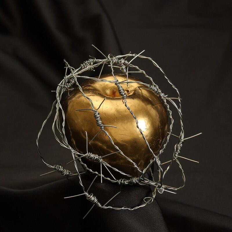 meditacion prohibida como usar tu energia para atraer lo que realmente queres 1