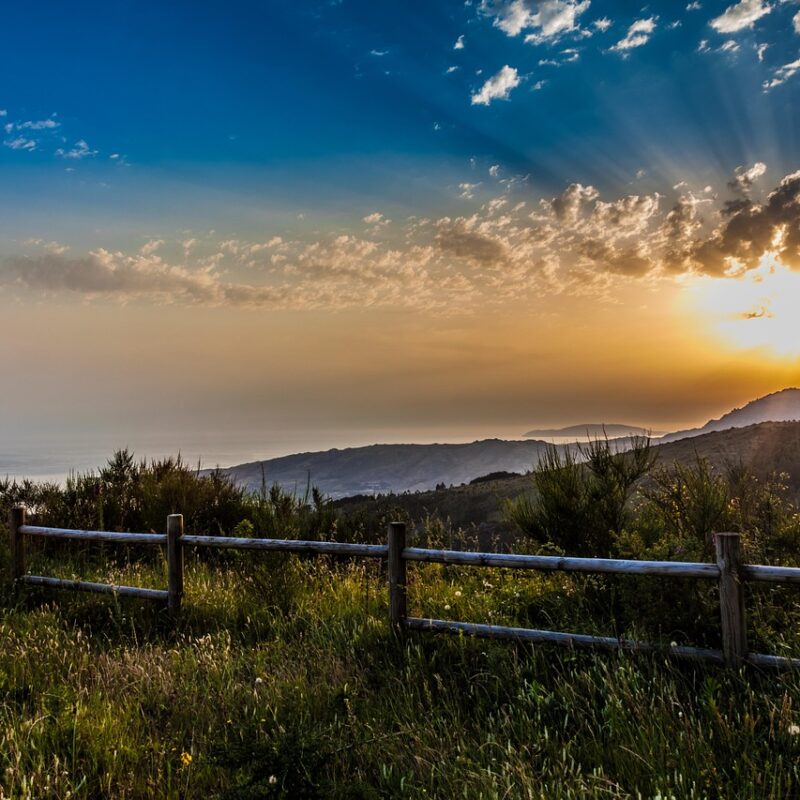 que codigo usar para fortalecer la mente descubre el numero 1297 1