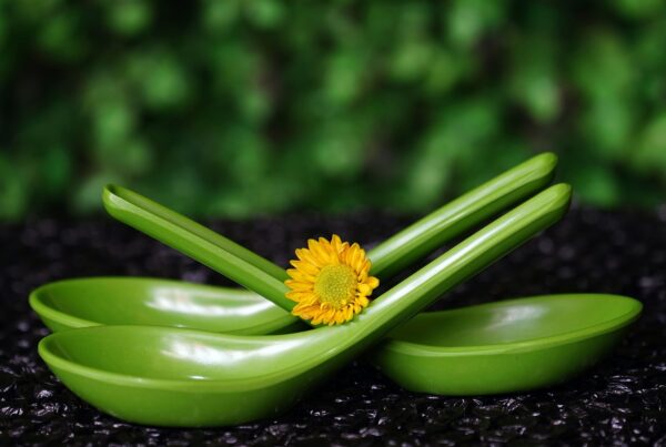 que es el spoon theory o teoria de las cucharas y como te ayuda a manejar tu energia 1