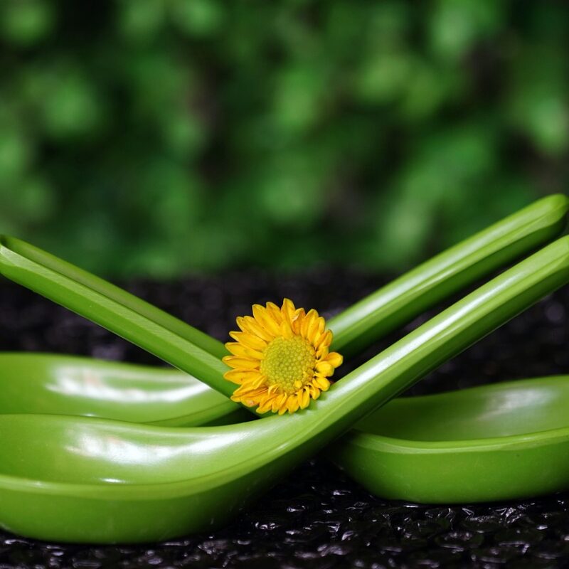 que es el spoon theory o teoria de las cucharas y como te ayuda a manejar tu energia 1