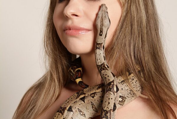 suenas con numeros serpientes o puertas el significado espiritual de tus suenos en la era de la ascension 1