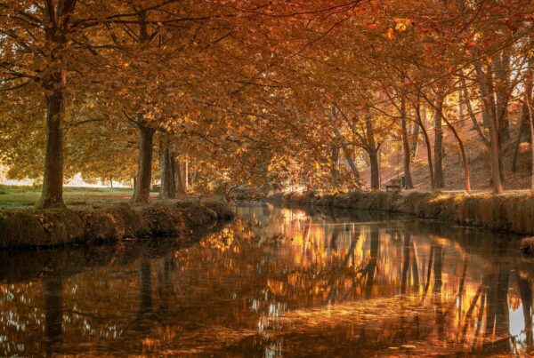 suenos extranos mensajes ocultos como interpretar lo que realmente tu subconsciente te dice 1