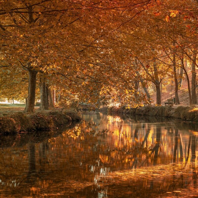 suenos extranos mensajes ocultos como interpretar lo que realmente tu subconsciente te dice 1