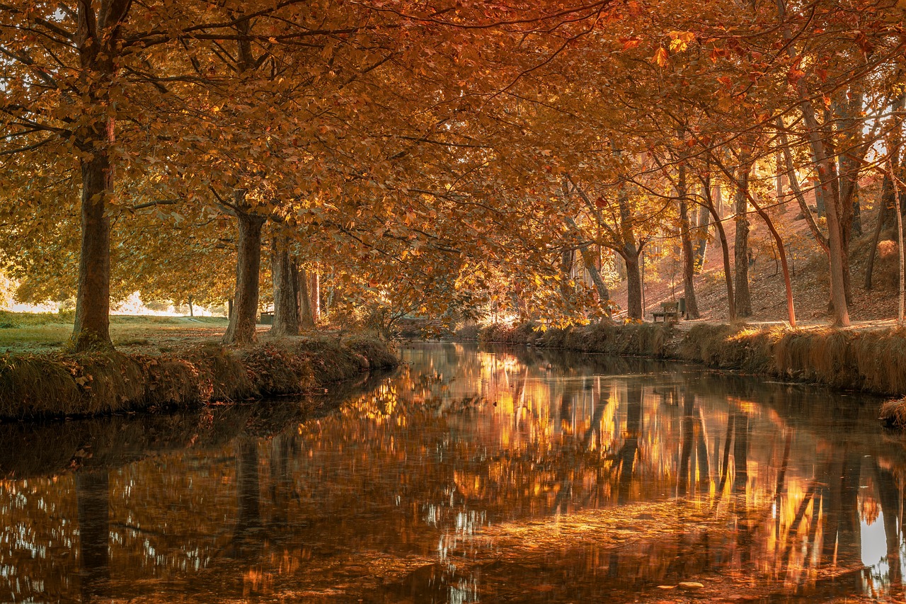 suenos extranos mensajes ocultos como interpretar lo que realmente tu subconsciente te dice 1