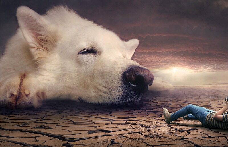 tu sueno recurrente de correr y no avanzar es una memoria de otra linea temporal 1